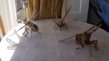 Giant bug day at Summerville home